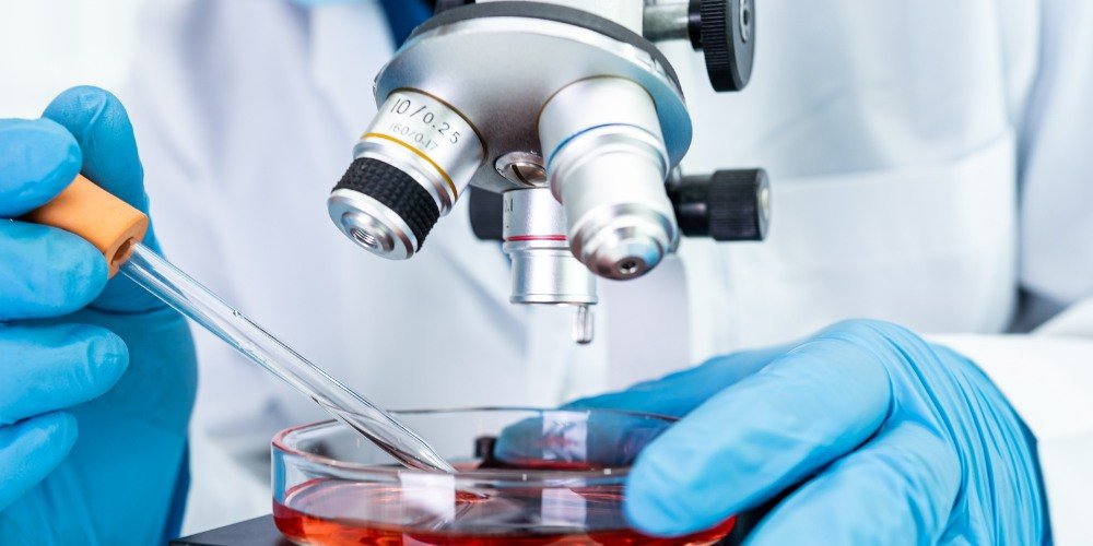 Basic Medical Sciences Division